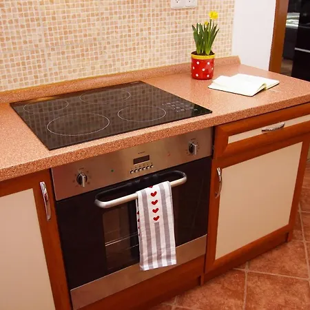 Appartement Luxusni Nmnm Family Nove Mesto na Morave
