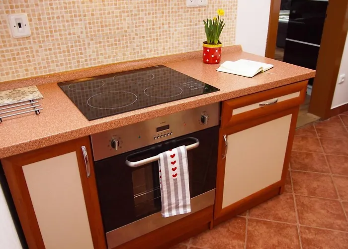 Appartement Luxusni Nmnm Family Nove Mesto na Morave